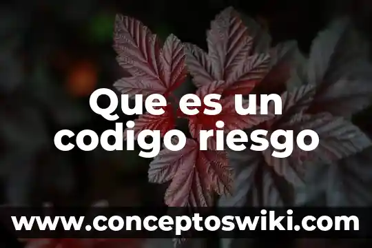 Que es un riesgo en la calidad 3 Que es un codigo riesgo