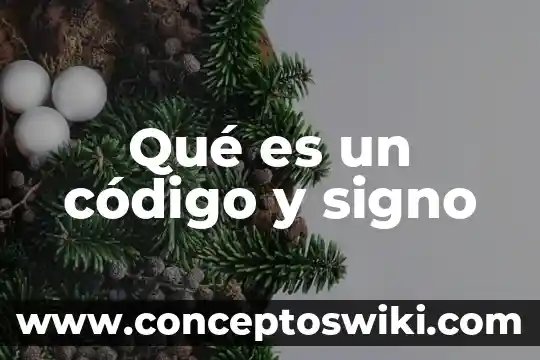 ¿Qué es punto coma, signo de admiración, signo de interrogación? 8 Qué es un código y signo