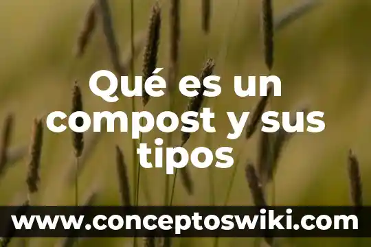 Que es inteligencia emocional sus tipos de inteligencia 6 Qué es un compost y sus tipos