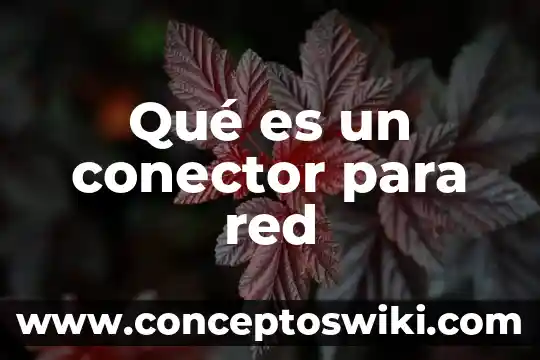 Que es la red dkt 4 Qué es un conector para red