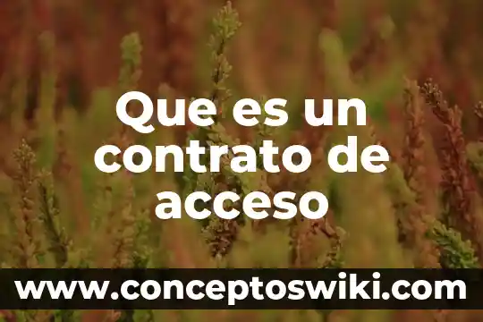 Que es proceso de acceso lexico 8 Que es un contrato de acceso