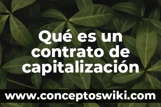 Que es un contrato forward modelo 6 Qué es un contrato de capitalización