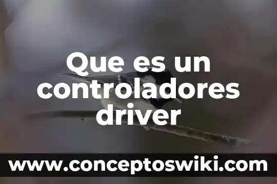 Que es un driver y cual es su funcion 4 Que es un controladores driver