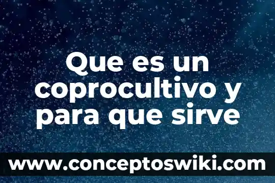 Qué es un extensómetro y para qué sirve 3 Que es un coprocultivo y para que sirve