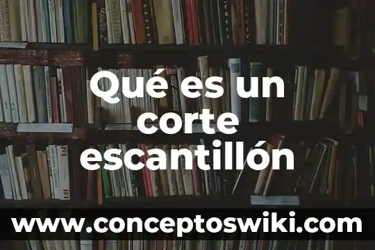 Qué es plotter de corte ventajas y desventajas 6 Qué es un corte escantillón