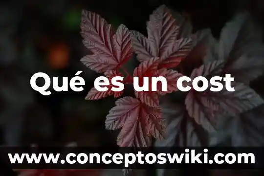 Que es sang cost 4 Qué es un cost