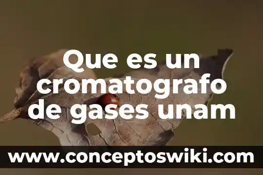 Que es computadora de viaje 7 Que es un cromatografo de gases unam