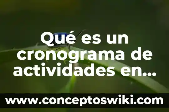 Que es la coordinador de actividades de capacitacion 5 Qué es un cronograma de actividades en metodología