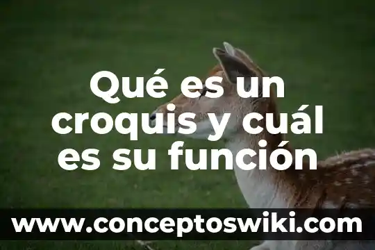 Que es el proyecto educati y cual es su fin 8 Qué es un croquis y cuál es su función