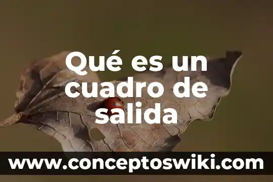 El apendice que es entrada o salida 3 Qué es un cuadro de salida