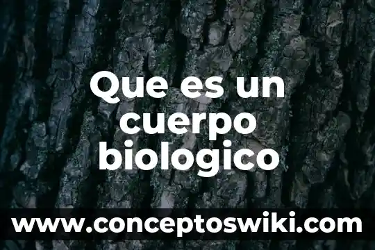 Qué es cuerpo en danza 6 Que es un cuerpo biologico