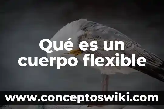 Qué es la distribución de planta flexible 3 Qué es un cuerpo flexible