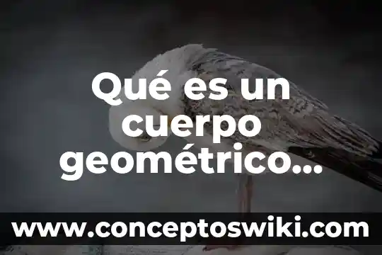 Que es el sodio en el cuerpo humano 8 Qué es un cuerpo geométrico prisma partes