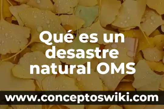 Que es combatir segun la oms 8 Qué es un desastre natural OMS