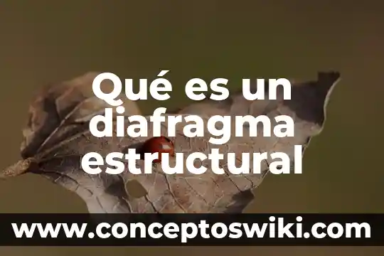 ¿Qué es liderazgo estructural? 4 Qué es un diafragma estructural