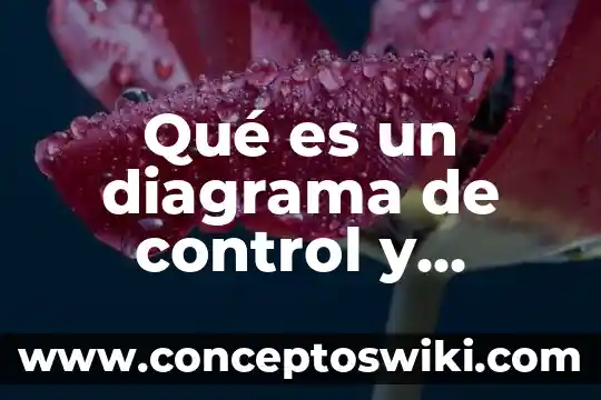 Explicacioon larga de que es fuerza 8 Qué es un diagrama de control y fuerza