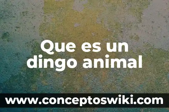 Que es un programa de inspoeccion 8 Que es un dingo animal
