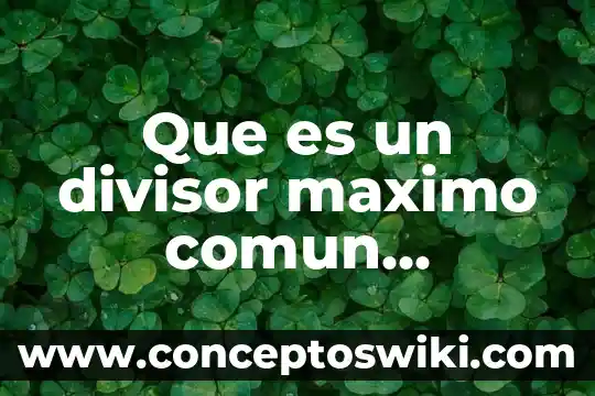 Qué es divisor común de un número determinado 8 Que es un divisor maximo comun multiplo