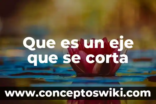 Que es la vigorexia definicion corta 6 Que es un eje que se corta