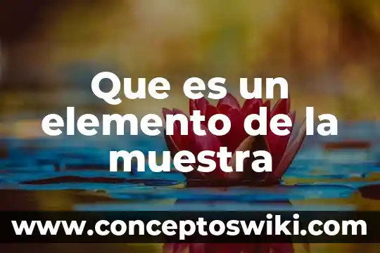Qué es el nombre de elemento 8 Que es un elemento de la muestra