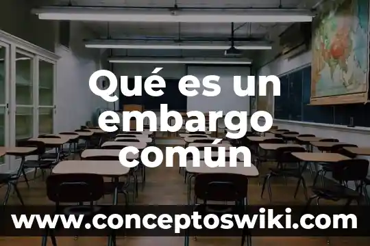 Que es el nombre comun de las mercancias 6 Qué es un embargo común