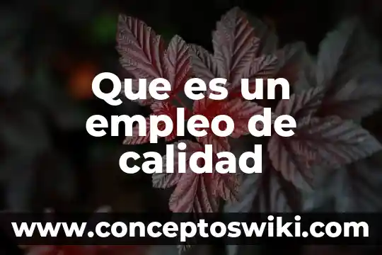 Qué es lineamientos en calidad 6 Que es un empleo de calidad