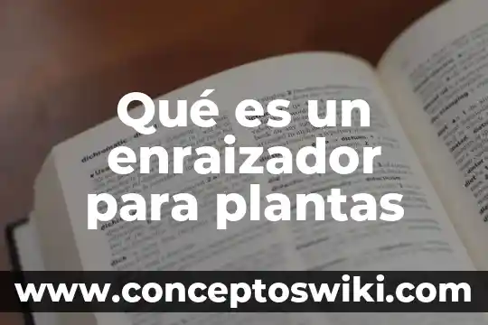 Que es fruto de las plantas 3 Qué es un enraizador para plantas