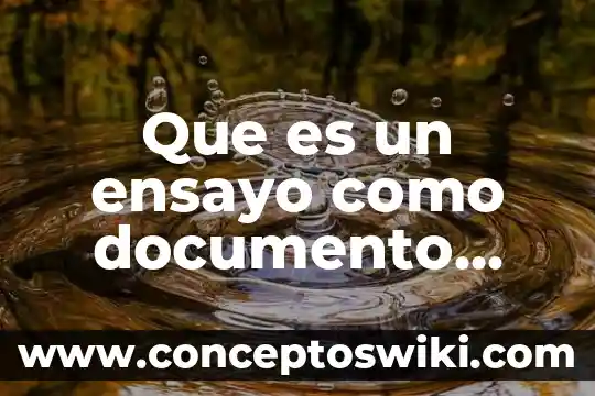 Que es un boletín informativo y que debe de contener 5 Que es un ensayo como documento informativo