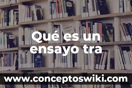 Qué es la tecnología de la información 3 Qué es un ensayo tra