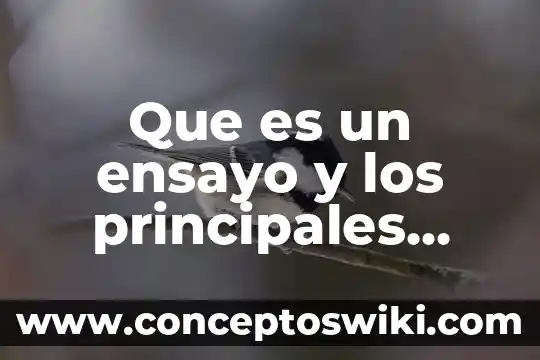 Que es la preescritura de un ensayo 3 Que es un ensayo y los principales ensayistas