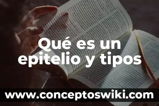 Que es una paremia y sus tipos 3 Qué es un epitelio y tipos