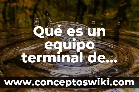 Castor green terminal que es 6 Qué es un equipo terminal de datos en redes