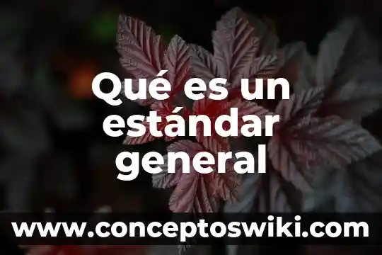 Que es un estandar de formacion etica 6 Qué es un estándar general