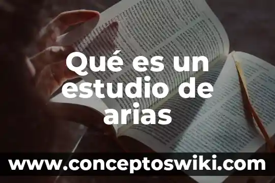 Que es un estudio actual de un producto 8 Qué es un estudio de arias