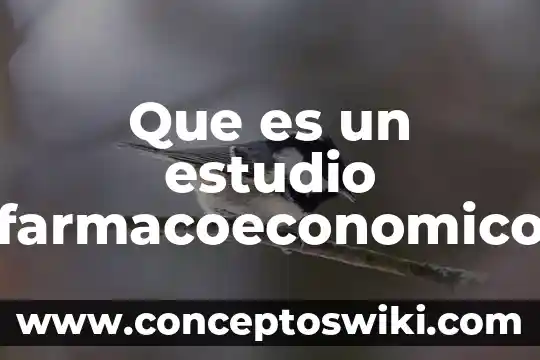 Que es un estudio actual de un producto 7 Que es un estudio farmacoeconomico
