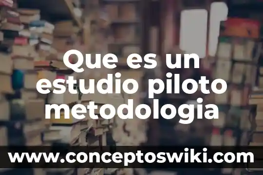 Qué es un sistema piloto 3 Que es un estudio piloto metodologia