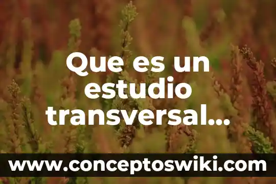 Que es trabajo en forma transversal 3 Que es un estudio transversal ejemplo