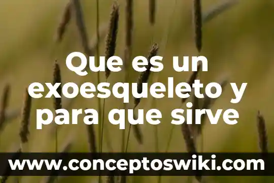 Que es la loapf y para que sirve 4 Que es un exoesqueleto y para que sirve