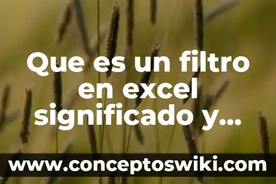 Que es granza significado 3 Que es un filtro en excel significado y consepto