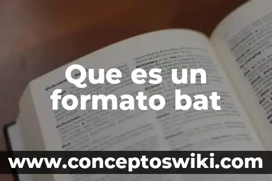 Que es el formato de nombre-verbo 8 Que es un formato bat