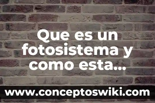 Para que es esta medicina metoclopramida 4 Que es un fotosistema y como esta formado