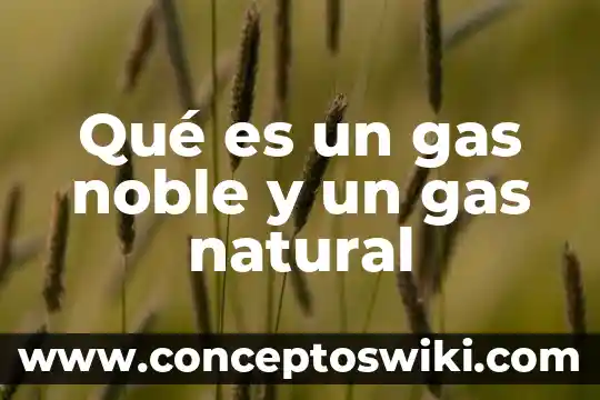 Para que es buena el agua con gas 4 Qué es un gas noble y un gas natural
