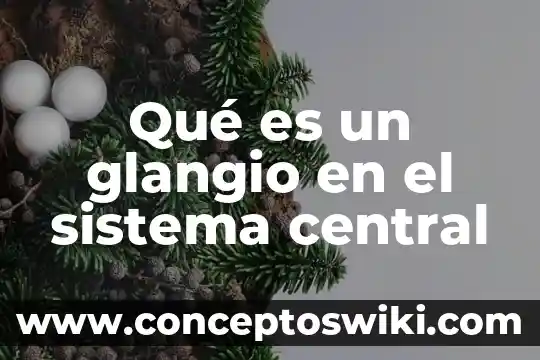 Investigar qué es altiplanicie central 4 Qué es un glangio en el sistema central