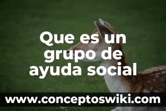 Qué es aglutinación de grupo sanguíneo 6 Que es un grupo de ayuda social