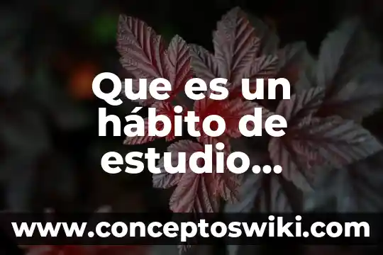 Que es un estudio actual de un producto 4 Que es un hábito de estudio ejemplos