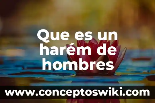 Que es la circuncisión en hombres adultos 6 Que es un harém de hombres