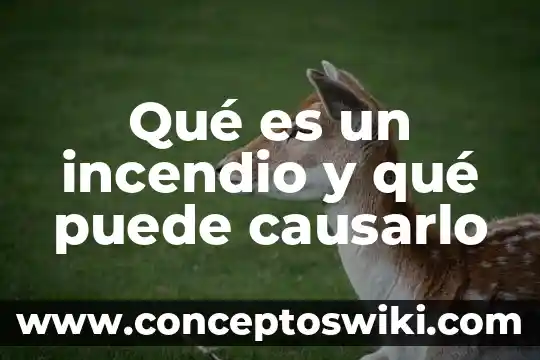 Qué es el bluetooth y qué puede hacer 8 Qué es un incendio y qué puede causarlo