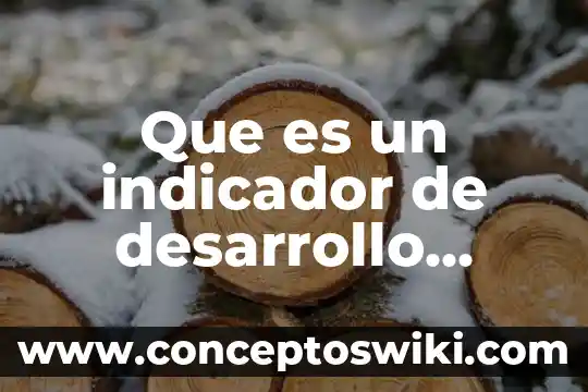 Qué es un indicador de desempeño escolar 3 Que es un indicador de desarrollo economico