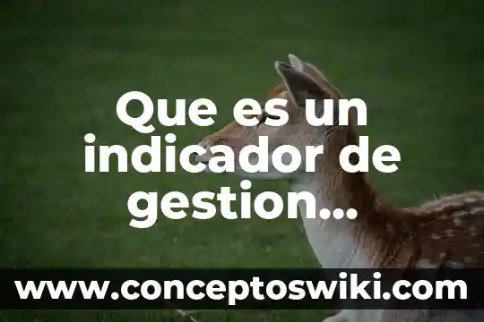 Qué es un indicador de desempeño escolar 4 Que es un indicador de gestion ejemplos