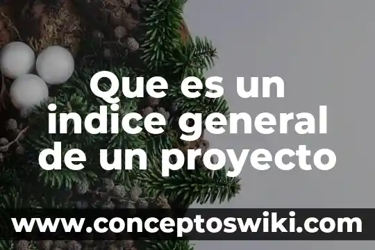Qué es el examen general dermato 3 Que es un indice general de un proyecto